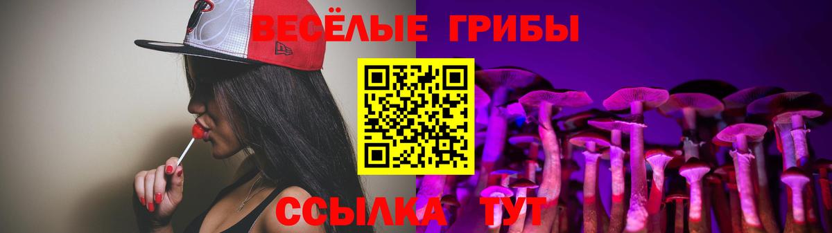 закладки  Псилоцибиновые грибы GOLDEN TEACHER  Вход с VPN  Галлюциногенные грибы мицелий  Ростов Великий 